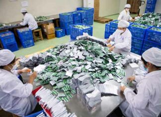 US Senator Warns: भारत-चीन को लेकर अमेरिकी सीनेटर की चेतावनी, जानें वजह? US News