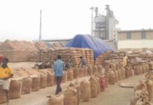 करनाल के व्यापरी ने गुहला चीका के चार राइस मिलरो को लगाई करोड़ो की चपत, चावल खरीद कर रूपये देने से किया इंकार Guhla Cheeka News