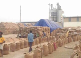 करनाल के व्यापरी ने गुहला चीका के चार राइस मिलरो को लगाई करोड़ो की चपत, चावल खरीद कर रूपये देने से किया इंकार Guhla Cheeka News