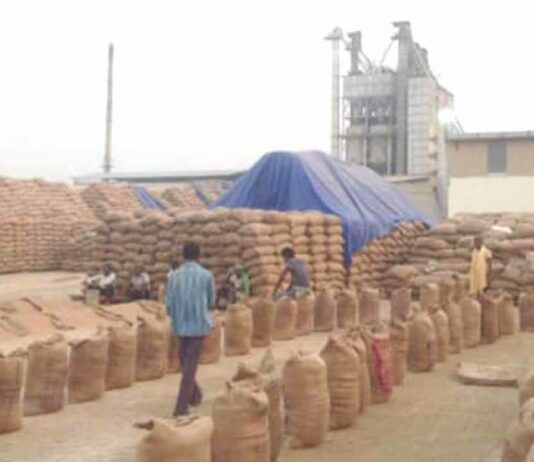 करनाल के व्यापरी ने गुहला चीका के चार राइस मिलरो को लगाई करोड़ो की चपत, चावल खरीद कर रूपये देने से किया इंकार Guhla Cheeka News