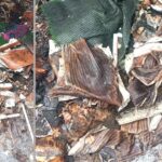 आग लगने से बेटी की शादी का सारा सामान जलकर खाक Hansi News