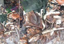 आग लगने से बेटी की शादी का सारा सामान जलकर खाक Hansi News