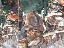 आग लगने से बेटी की शादी का सारा सामान जलकर खाक Hansi News