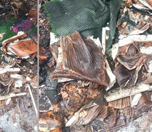 आग लगने से बेटी की शादी का सारा सामान जलकर खाक Hansi News