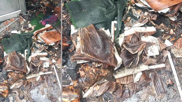 Hansi News Hansi News