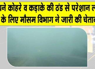 Rajasthan Weather: हनुमानगढ़ में घने कोहरे व कड़ाके की ठंड से परेशान लोगों के लिए मौसम विभाग ने जारी की चेतावनी Rajasthan Weather News