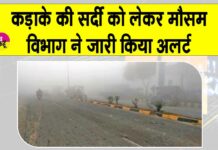 Weather Update: भयंकर ठंड से ठिठुरेगा हरियाणा, मौसम विभाग ने अलर्ट किया जारी