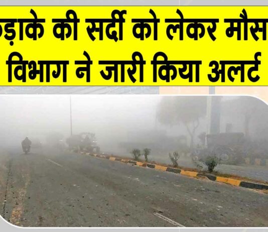 Weather Update: भयंकर ठंड से ठिठुरेगा हरियाणा, मौसम विभाग ने अलर्ट किया जारी