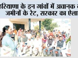 Haryana News