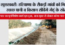Jakhal News