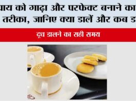 Kadak Chai