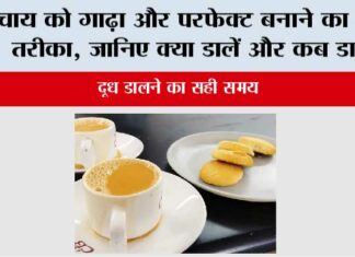 Kadak Chai: चाय को गाढ़ा और परफेक्ट बनाने का सही तरीका, जानिए क्या डालें और कब डालें! Kadak Chai