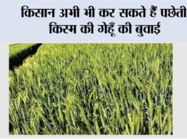 Farmer News