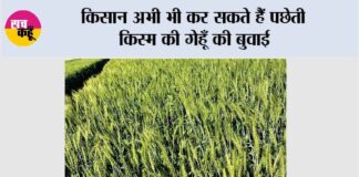 Farmer News