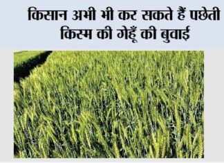 Farmer News