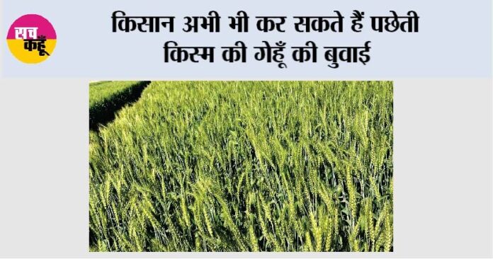 Farmer News