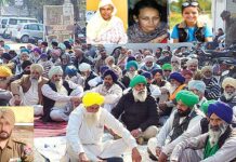 Malerkotla News