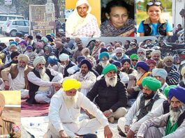 Malerkotla News