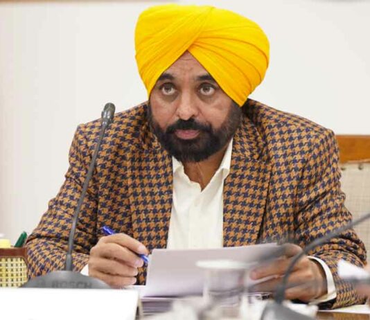 CM Bhagwant Mann: मुख्यमंत्री मान मंत्रिमंडल ने कैबिनेट में लिए पंजाब वासियों के लिए ये बड़े फैसले Punjab News