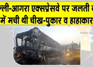 Mathura Bus Accident Updates: दिल्ली-आगरा एक्सप्रेसवे पर जलती बस में मची थी चीख पुकार व हाहाकार! योगी आदित्यनाथ ने किया ये बड़ा ऐलान Mathura News