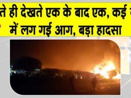 दिल्ली-आगरा एक्सप्रेसवे पर भयानक सड़क हादसा, एक के बाद एक कई बसों में लगी आग Mathura News