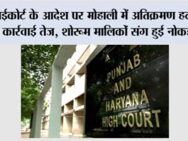 हाईकोर्ट के आदेश पर मोहाली में अतिक्रमण हटाने की कार्रवाई तेज, शोरूम मालिकों संग हुई नोकझोंक Mohali News