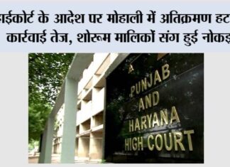 हाईकोर्ट के आदेश पर मोहाली में अतिक्रमण हटाने की कार्रवाई तेज, शोरूम मालिकों संग हुई नोकझोंक Mohali News