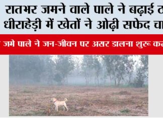 रातभर जमने वाले पाले ने बढ़ाई ठंड, धीराहेड़ी में खेतों ने ओढ़ी सफेद चादर Morna