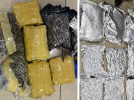 Mumbai Gold News: मुंबई एयरपोर्ट पर 2 करोड़ रुपये से अधिक का सोना ज़ब्त Mumbai Gold News