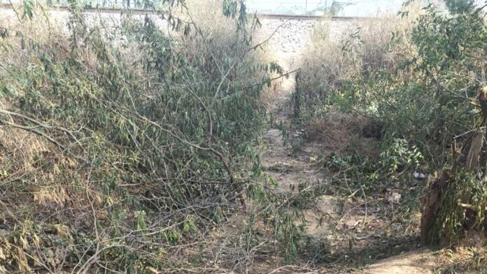 Narwana News Narwana News