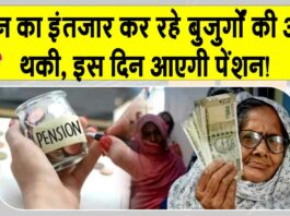 Old Age Pension Punjab: इस दिन आएगी अक्टूबर महीने की पेंशन, अधिकारी ने दी जानकारी Old Age Pension Punjab