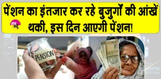 Old Age Pension Punjab