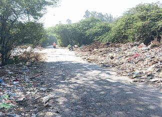 नगर निगम कार्यालय व शीश महल के नजदीक पड़े कूड़े से ‘राहगीर’ परेशान Patiala News