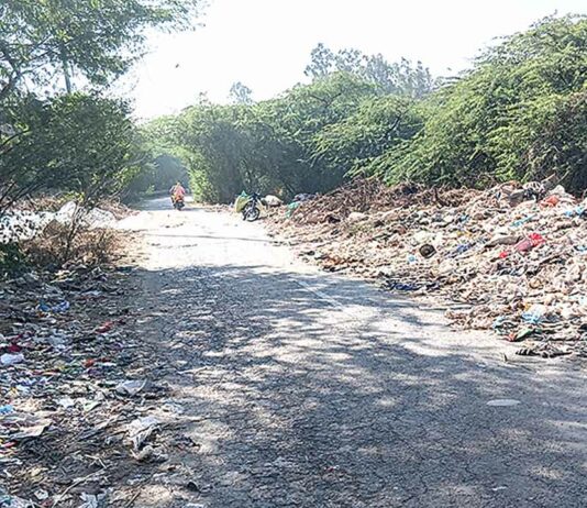 नगर निगम कार्यालय व शीश महल के नजदीक पड़े कूड़े से ‘राहगीर’ परेशान Patiala News