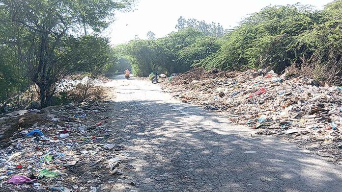 Patiala News Patiala News