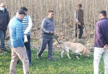 बहादुरपुर पोपलर की नर्सरी में मिली लड़की का शव के मामले में कोई शिनाख्त नहीं Pratap Nagar News