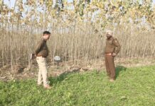 पोंटा साहिब रोड पर पॉपुलर की नर्सरी में एक लड़की का शव बरामद, पुलिस ने छानबीन शुरू की Pratap Nagar News