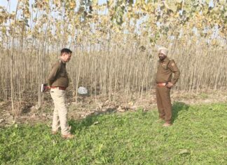 पोंटा साहिब रोड पर पॉपुलर की नर्सरी में एक लड़की का शव बरामद, पुलिस ने छानबीन शुरू की Pratap Nagar News