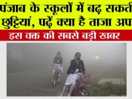 Punjab Winter Holidays