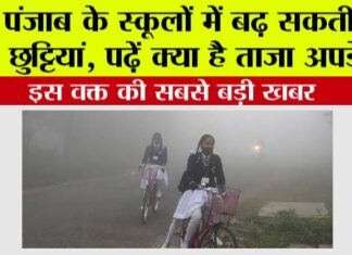 Punjab Winter Holidays