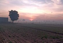 Rajasthan Weather Update: मौसम विज्ञान केन्द्र, जयपुर ने दी राजस्थान मौसम को लेकर ताज़ा अपडेट Rajasthan Weather Update