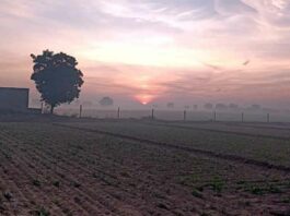 Rajasthan Weather Update: मौसम विज्ञान केन्द्र, जयपुर ने दी राजस्थान मौसम को लेकर ताज़ा अपडेट Rajasthan Weather Update