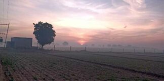 Rajasthan Weather Update