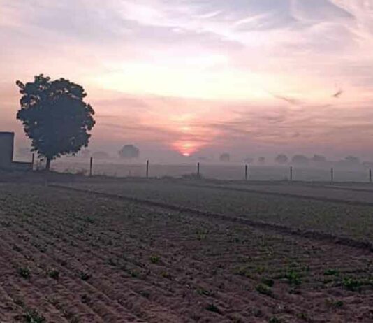 Rajasthan Weather Update: मौसम विज्ञान केन्द्र, जयपुर ने दी राजस्थान मौसम को लेकर ताज़ा अपडेट Rajasthan Weather Update