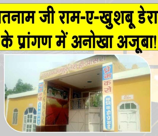 राम-ए-खुशबू डेरे के तेरा वास प्रांगण में अनोखा अजूबा! देखकर हर कोई आश्चर्यचकित Kaithal News