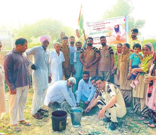 Welfare Work: रोड़ी ब्लॉक का वर्ष 2025 रहा मानवता को समर्पित, पर हित, परमार्थी कार्यों को दी निरंतर गति Sirsa News