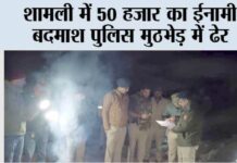 शामली में 50 हजार का ईनामी बदमाश पुलिस मुठभेड़ में ढेर Shamli