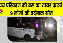 Tamil Nadu: राज्य परिवहन निगम की बस का अचानक टायर फटा, नौ लोगों की हुई दर्दनाक मौत Tamil Nadu News