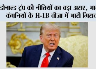 Trump Impact: डोनाल्ड ट्रंप की नीतियों का बड़ा असर, भारतीय कंपनियों के H-1B वीजा में भारी गिरावट Trump Impact