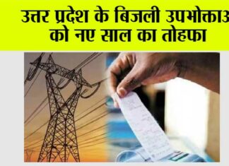UP Electricity Bill